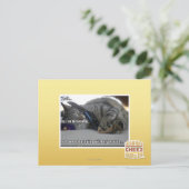 Carte Postale J'écoute (Debout devant)