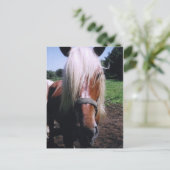 Carte Postale Jeff (Debout devant)