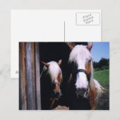 Carte Postale Jeff et Kate (Devant / Derrière)