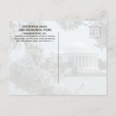 Carte Postale Jefferson Memorial, Cerisiers en Fleurs, Tidal Bas (Dos)