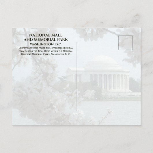 Carte Postale Jefferson Memorial, Cerisiers en Fleurs, Tidal Bas (Dos)