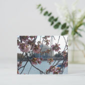 Carte Postale Jefferson Memorial National Cherry Blossom Fest (Debout devant)