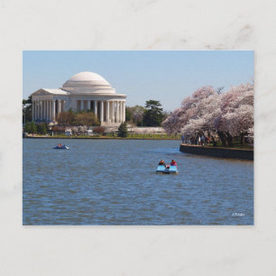 Carte Postale Jefferson Memorial Washington DC