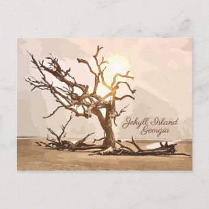 Carte postale Jekyll Island Georgia