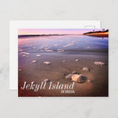 Carte Postale Jekyll Island Georgia Sand Dollar Beach (Devant / Derrière)