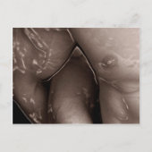 Carte Postale Jelling Embrace (Devant)