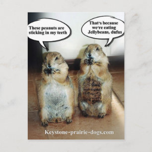 Carte Postale Jelly beans