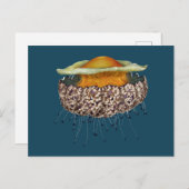 Carte Postale Jellyfish aux oeufs frits (Devant / Derrière)