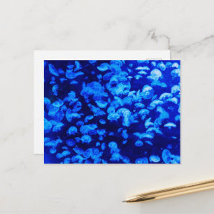 Carte Postale Jellyfish, Sea Animals, Sea Life, Ocean Animaux