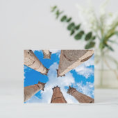 Carte postale Jerash Jordan (Debout devant)