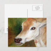 Carte Postale Jersey Cow (Devant / Derrière)