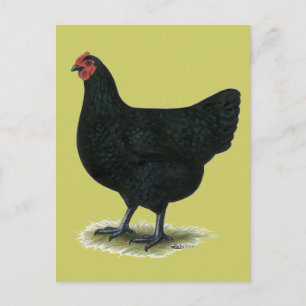 Carte Postale Jersey Giant : Hen noir
