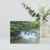 Carte Postale Jesmond Dene (Debout devant)