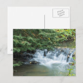 Carte Postale Jesmond Dene (Devant / Derrière)