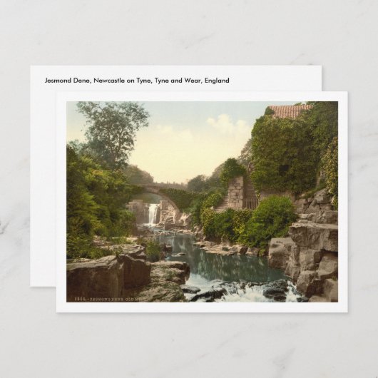 Carte Postale Jesmond Dene II, Newcastle-upon-Tyne, Angleterre (Devant / Derrière)