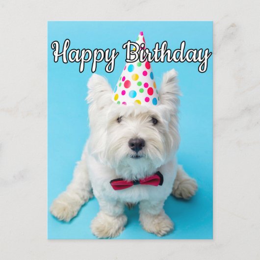 Carte Postale J'Espère Que Vous Avez Un Joyeux Anniversaire (Devant)