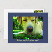 Carte Postale J'espère que vous vous sentirez mieux bientôt ! (Devant / Derrière)