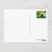 Carte Postale J'espère que vous vous sentirez mieux bientôt ! (Dos)