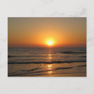 Carte Postale Jess&apos ; Correction 146_3