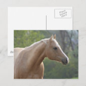 Carte Postale Jessie Rey Freckle (Devant / Derrière)