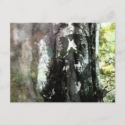 Carte Postale Jésus et l'arbre (Devant)