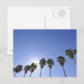 Carte Postale Jet Stream Au-Dessus Des Palmiers (Devant / Derrière)