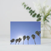 Carte Postale Jet Stream Au-Dessus Des Palmiers (Debout devant)