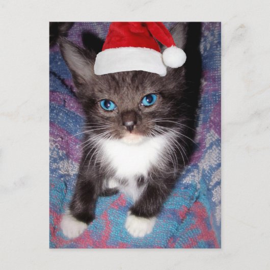 CARTE POSTALE J'ÉTAIS BON CETTE ANNÉE (Devant)