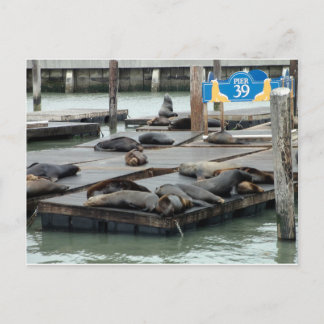 Carte Postale Jetée 39