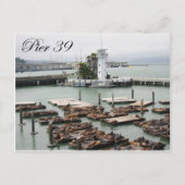 Carte Postale Jetée 39 (Devant)