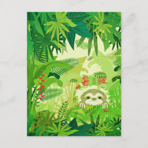 Carte Postale Jeter un coup d'oeil à la Sloth Boo Jungle