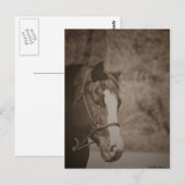 Carte Postale Jeter un regard sur Mare (Devant / Derrière)