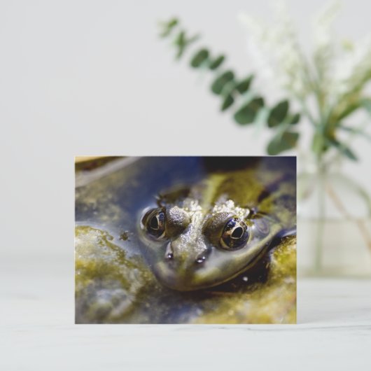 Carte Postale Jetez un oeil (Debout devant)