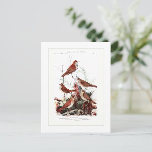 Carte Postale Jeu (Debout devant)