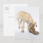 Carte Postale jeu, amical, curiosité (Devant / Derrière)