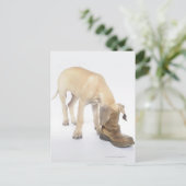 Carte Postale jeu, amical, curiosité (Debout devant)