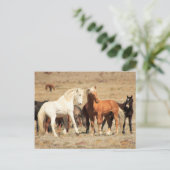 Carte Postale Jeu de puissance (Debout devant)