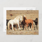 Carte Postale Jeu de puissance (Devant / Derrière)