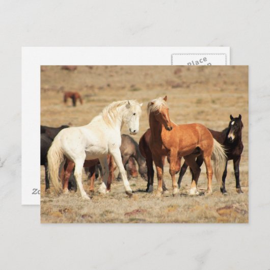 Carte Postale Jeu de puissance (Devant / Derrière)