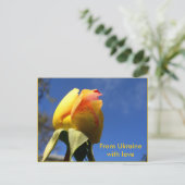 Carte Postale Jeu de rose jaune (Debout devant)