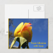 Carte Postale Jeu de rose jaune (Devant / Derrière)
