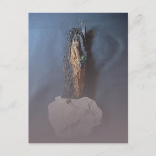 Carte Postale Jeu de sculpture (Devant)