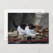Carte Postale Jeu du chaton par Henriëtte Ronner-Knip (Devant / Derrière)
