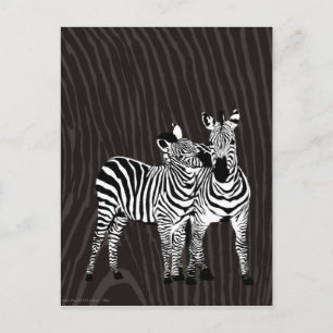 Carte Postale Jeu Zebra