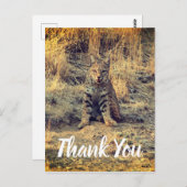 Carte Postale Jeune Bobcat Mignon Merci (Devant / Derrière)