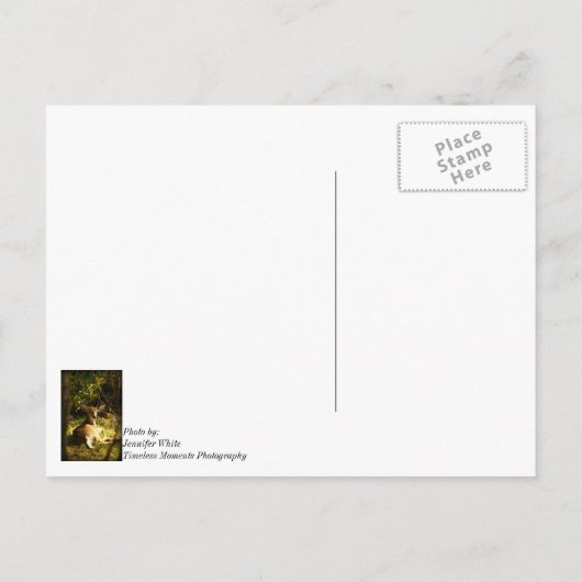 Carte Postale Jeune Buck Dans L'Ombre Penser De Vous (Dos)