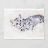 Carte Postale Jeune chat tacheté en argent tabby allongé sur pea (Devant)