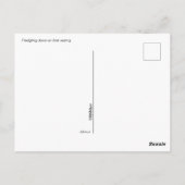 Carte postale - Jeune colombe (Dos)