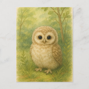 Carte postale Jeune hibou Bébé Animaux sauvages
