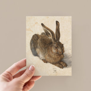 Carte Postale Jeune lièvre Albrecht Dürer